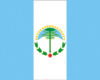 Flag of Neuquén