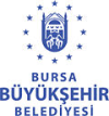 Flag of Bursa Flag of Bursa