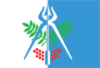 Flag of Ishevsk Flag of Ishevsk