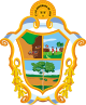 Flag of Manaus Flag of Manaus